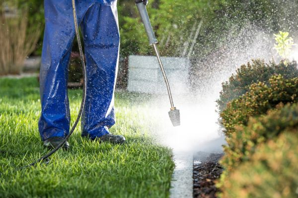 Cost of Curb Cleaning in Anderson